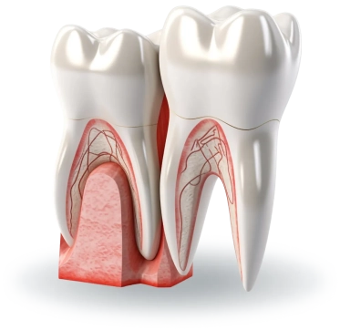 BETTER, FASTER RESULTS THROUGH DIGITAL DENTISTRY